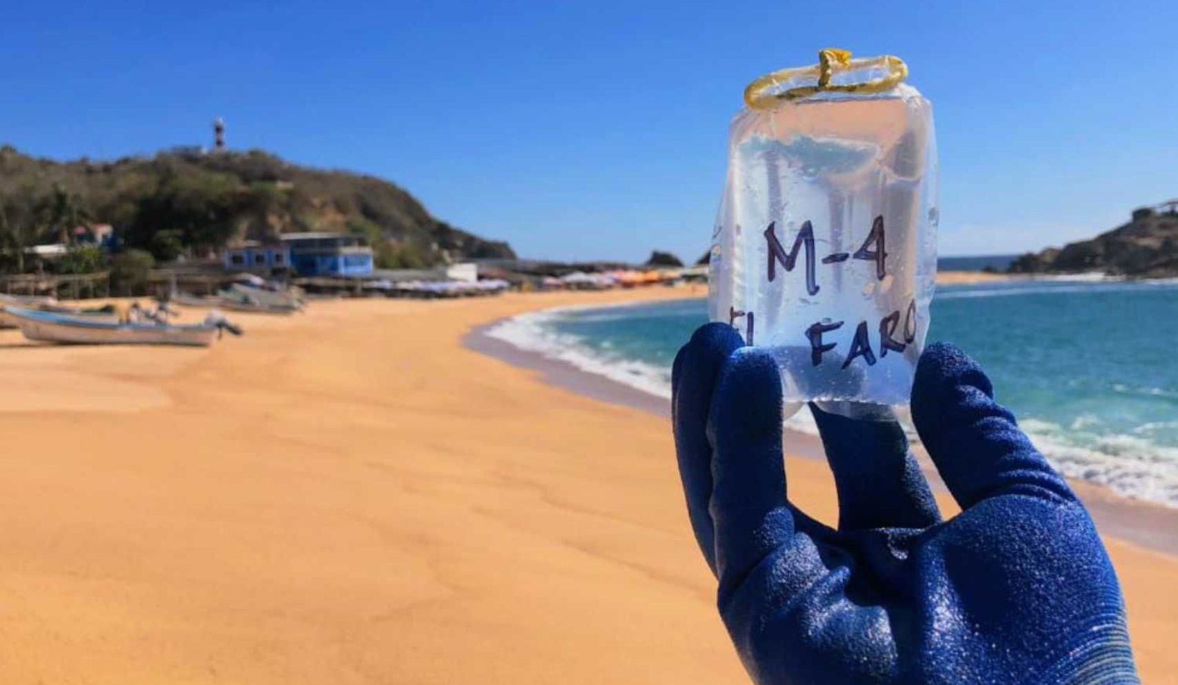 Cofepris reporta playas con altos niveles de bacterias fecales